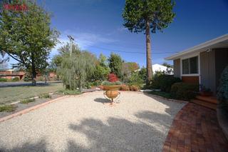 Front garden (2009-05-01)