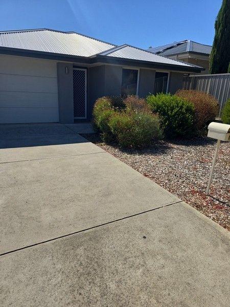 6 Embert Street, SA 5047