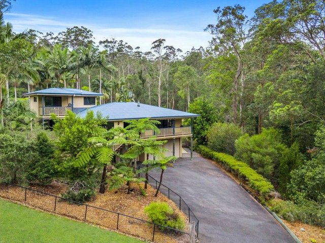 22 Lords Avenue, QLD 4211