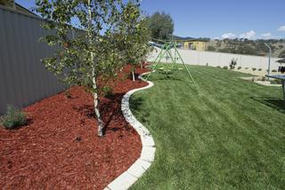 Backyard (2005-04-01)