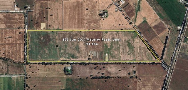 323 McLarty Road, WA 6220