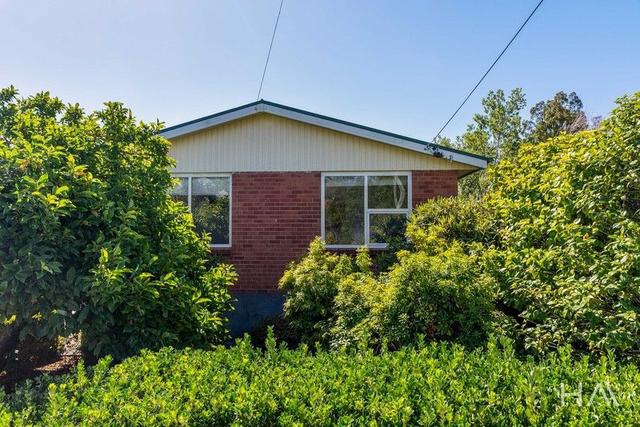 13 Opossum Road, TAS 7249