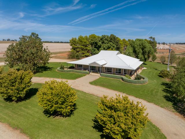 469 Brushwood Road, NSW 2650