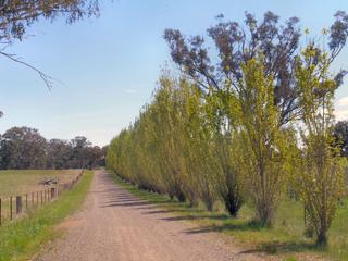 Driveway (2011-10-05)