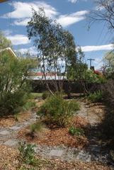 Backyard (2012-10-16)