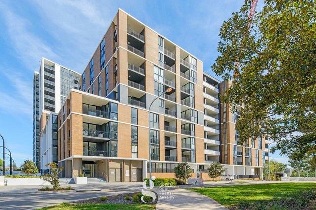 223/1 Maple Tree Road, NSW 2145