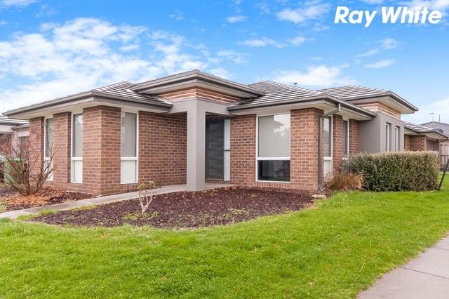 43 Kosta Boda Blvd, VIC 3810