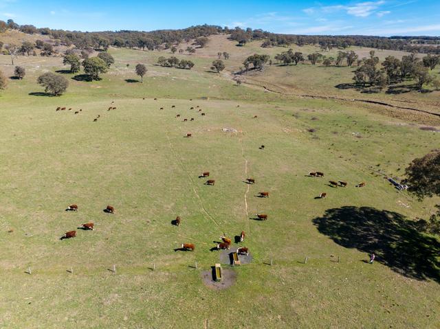 5353 Trunkey Road, NSW 2795
