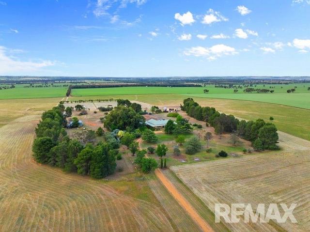 56 Thomson Lane, NSW 2650