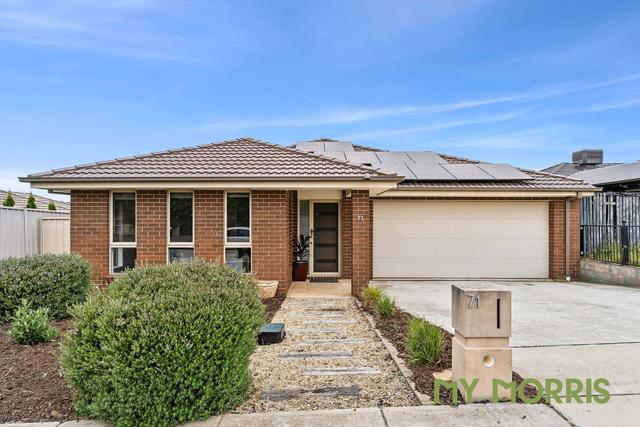 71 Essie Coffey Street, ACT 2914