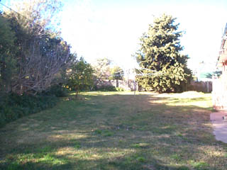 Rear yard