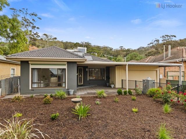 19 Beagle Terrace, SA 5062