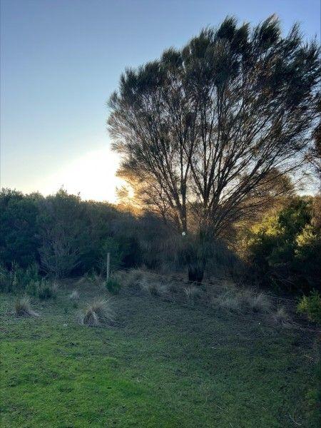 Lot 1 Bluff Road, TAS 7255