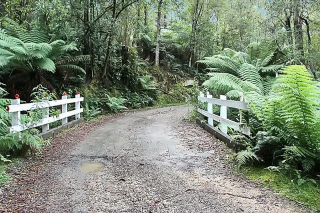 Part of PID 7682518 Mount Elephant Road, TAS 7215