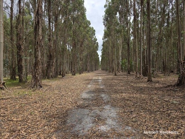 142 Mindijup Road, WA 6328