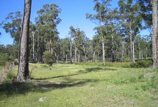 Land (2008-03-17)