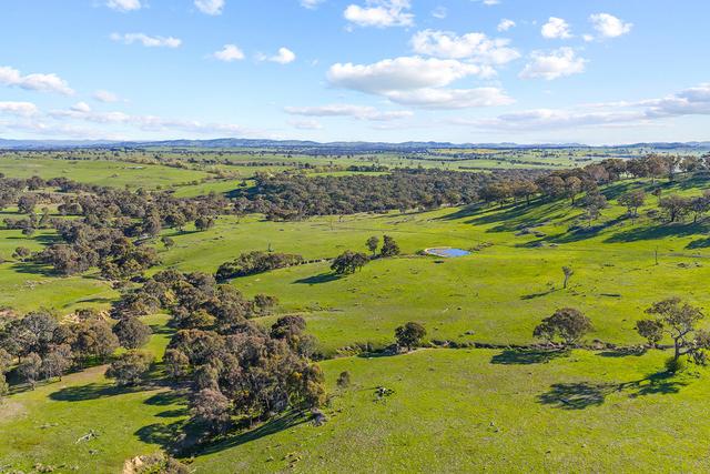 1432 Lachlan Valley Way, NSW 2582