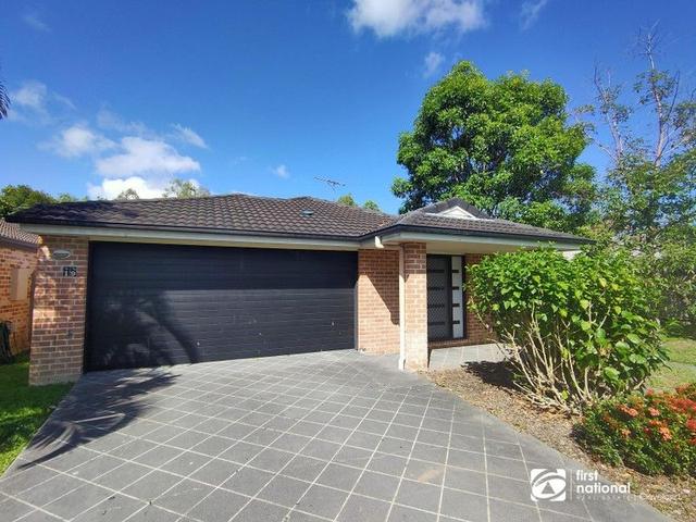 19 Citrus Court, QLD 4165