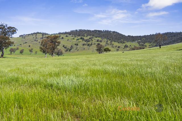 350 Waters Lane, VIC 3707