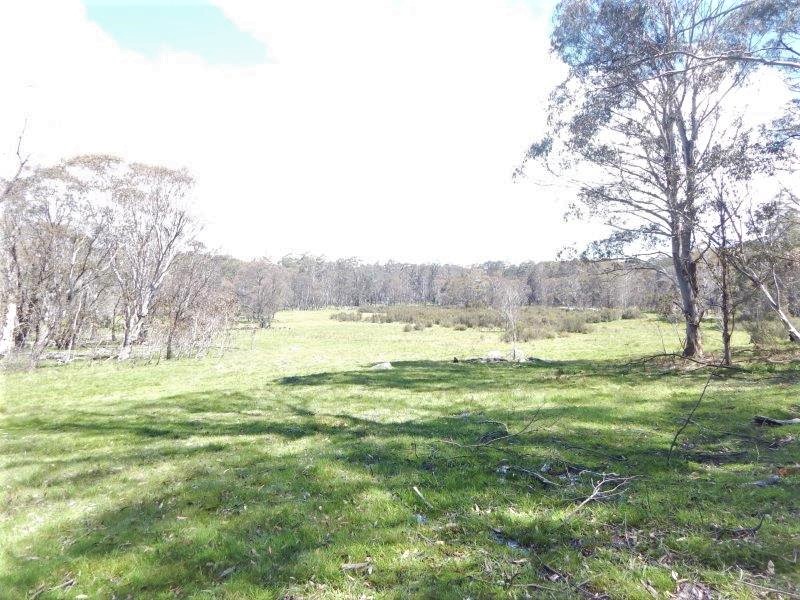 Lot 104 & 105 Greenlands Road, Kybeyan NSW 2631 Allhomes