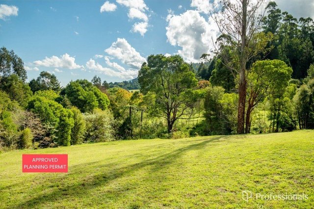 20 Andersons Avenue, VIC 3799