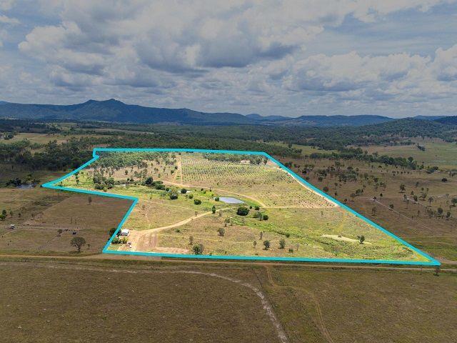 1516 Mount Walker West Rd, QLD 4340