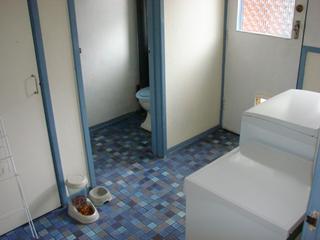 2nd toilet (2008-01-23)