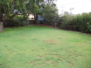 Frontyard (2011-12-19)