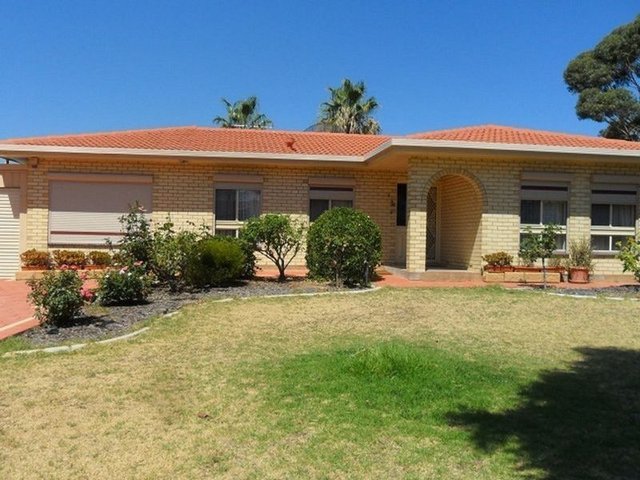 3 Tracy Court, SA 5076