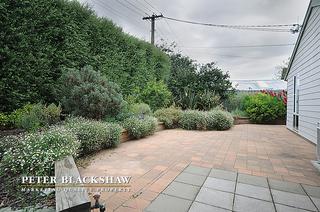 Side garden (2012-02-02)