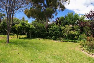 Rear Garden (2010-12-21)