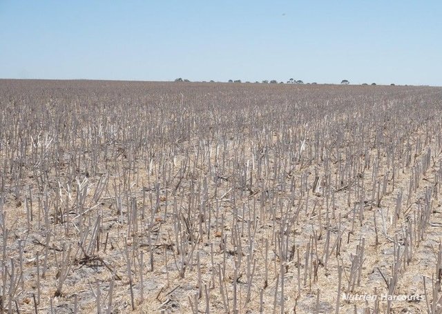 Lot 626 Gibson Road, WA 6448