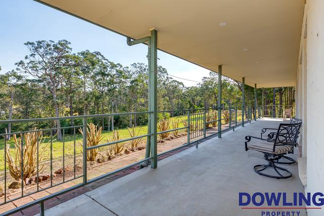 556 Limeburners Creek Road, NSW 2321