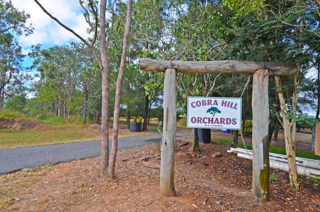 50 Cobra Road, QLD 4880