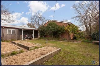 Rear Yard (2013-08-08)