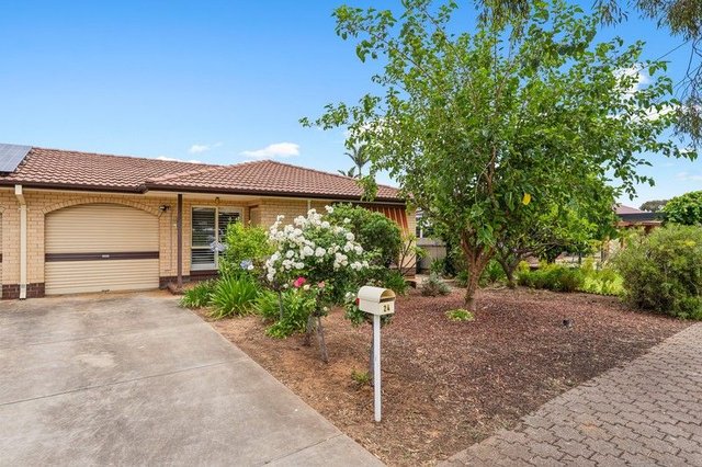 24 Baru Street, SA 5095