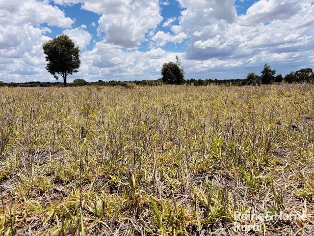 330 Burrow Downs Road, QLD 4454