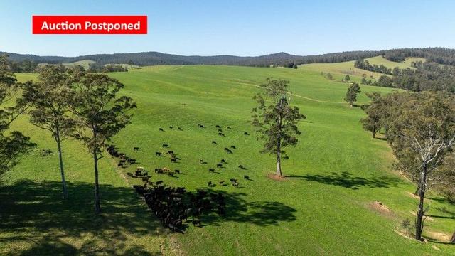 1292 Kangaroo Flat Road, NSW 2354