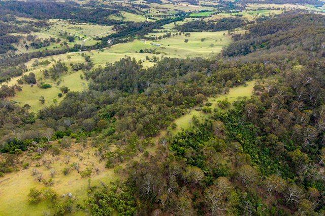 (no street name provided), NSW 2550