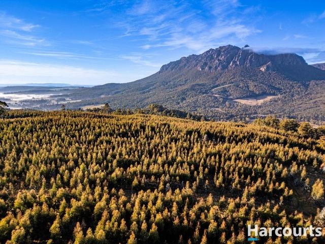 220 Holmes Road, TAS 7306