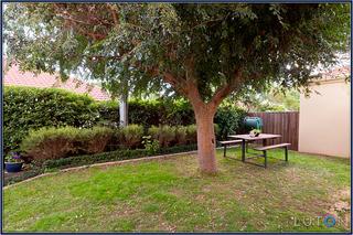 Back Garden (2012-04-24)