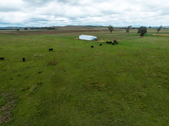 1706 Braidwood Road, NSW 2580