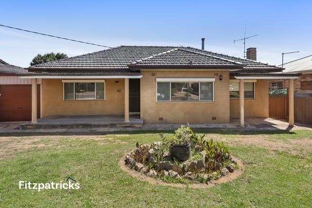 42 Raye Street, NSW 2650