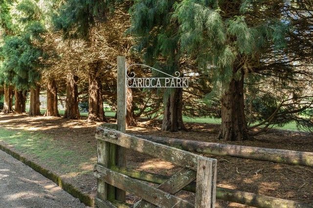 55 Somerset Road, NSW 2577