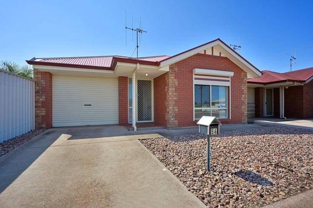 56 Jackson Avenue, SA 5608