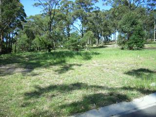 Side view (2010-06-07)