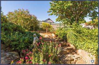Garden (2015-02-04)