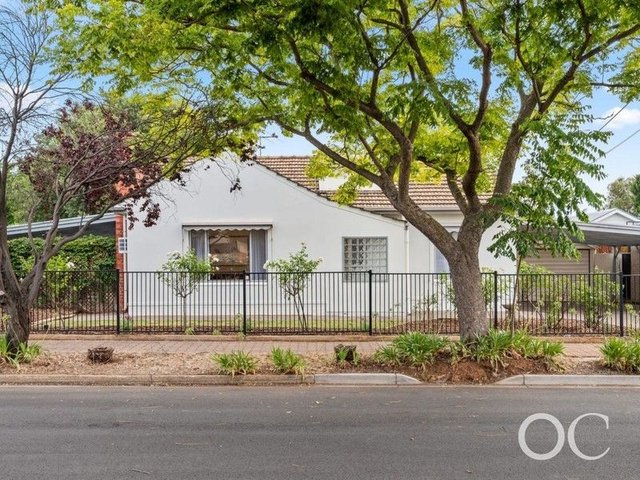 11 Wainwright Street, SA 5039