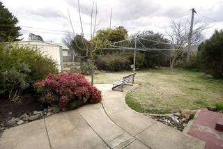 Backyard (2012-11-05)