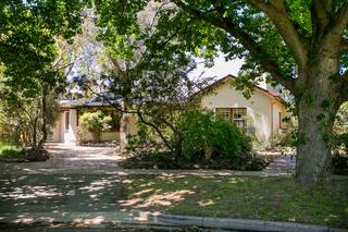 Spanish Oaks on Street